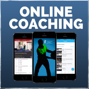 Online Coaching Programs